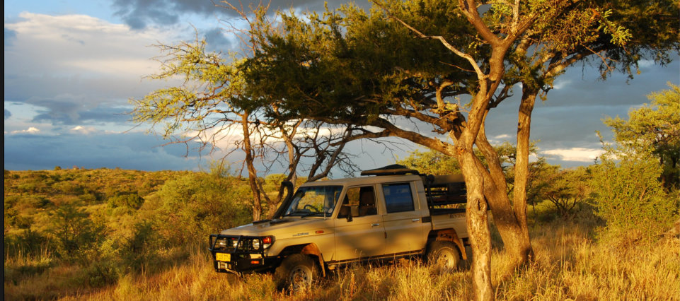 Arub Safaris hunting vehicle 